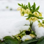 Od godz. 16:03 można wypatrywać wiosny. Dziś najkrótszy dzień w roku