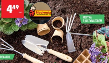 Od jutra kupisz w Biedronce wszystko na ogród. Rusza wielka oferta ogrodowa