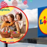 Od jutra kupisz wszystko na Wielkanoc w Lidlu
