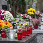 Od kilku lat wybieram zamiast chryzantem. Niestraszne przymrozki czy wiatr 