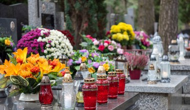 Od kilku lat wybieram zamiast chryzantem. Niestraszne przymrozki czy wiatr 