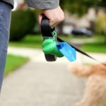 hobby horsing Od konika na kiju po smycz bez psa. Czym jest hobby dogging i co nowy trend mówi o nas samych?