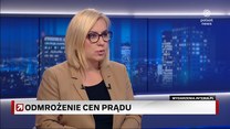 Od lipca podwyżki cen prądu. Hennig-Kloska wskazała kwotę