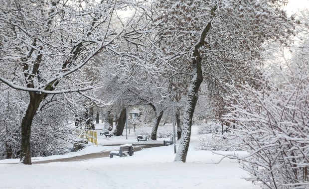Od minus 6 do plus 11. Ogromna różnica temperatury w Polsce