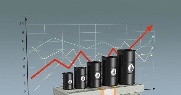 Od początku maja ropa na NYMEX zyskała około 75 proc. /123RF/PICSEL