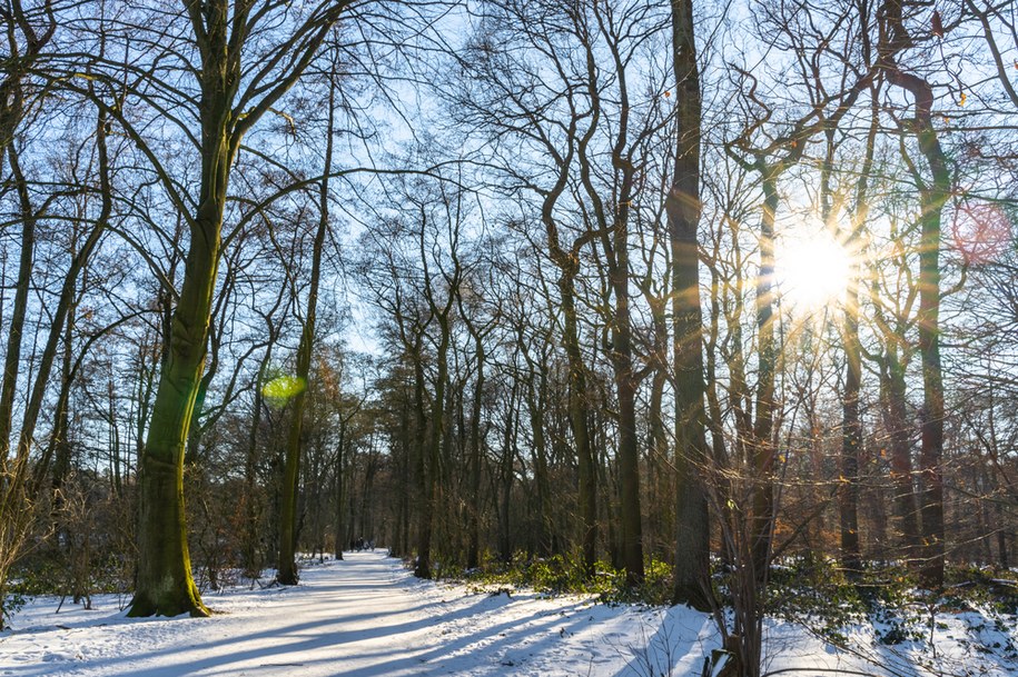 Od północnego zachodu będą stopniowo postępować rozpogodzenia /Shutterstock