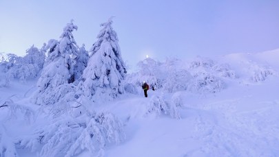 Od poniedziałku Babiogórski Park Narodowy uruchamia trasy narciarskie