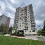 wykonawca muzyczny