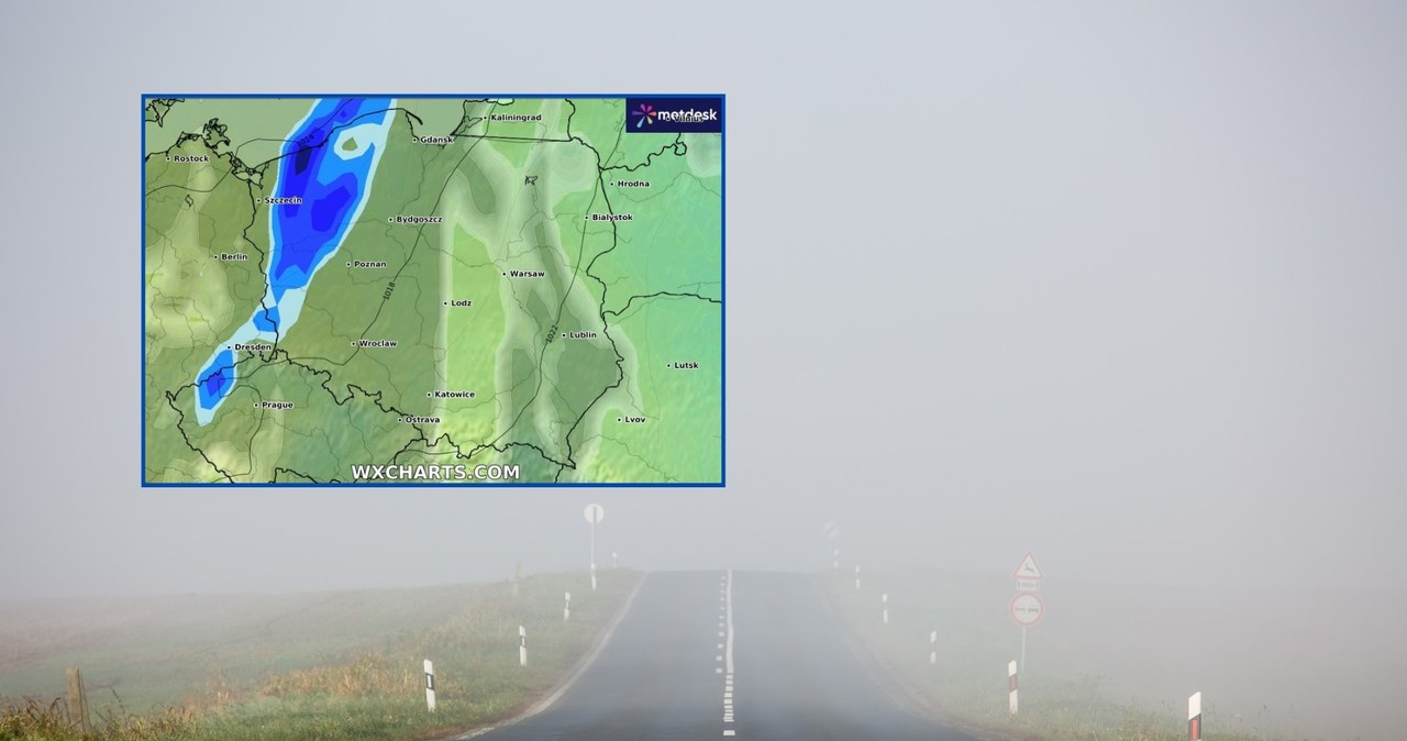 Od rana w dużej części Polski utrzymują się gęste mgły. Miejscami widzialność spada do 100 metrów. Wieczorem to zjawisko wróci /WXCHARTS/csakisti/123rf /