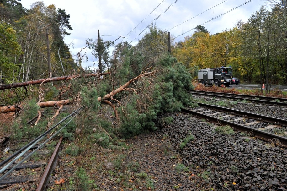 Od soboty niemal w całej Polsce wieje silny wiatr /Marcin Bielecki /PAP