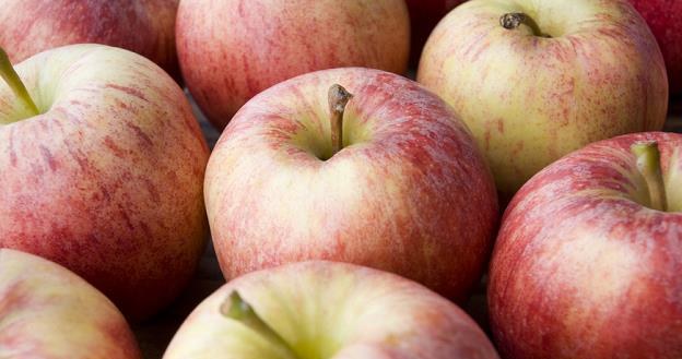 Od środy Rosja zakazuje importu jabłek z 31 białoruskich firm /poboczem.pl