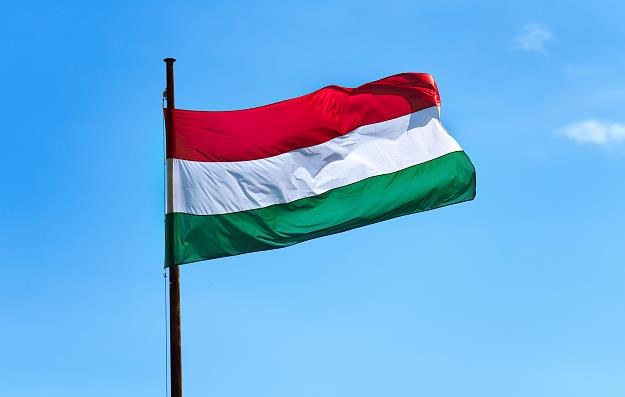 Od stycznia na Węgrzech matki czworga dzieci będą zwolnione z podatku dochodowego /&copy;123RF/PICSEL