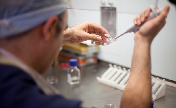 Od stycznia w Rzeszowie ruszy program in vitro