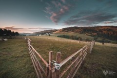 Od świtu do zmierzchu – pasterski świat w sercu Pienin