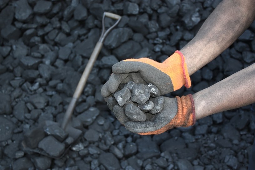 Od września 2023 roku PGG wprowadziło podwyżki cen węgla kamiennego /123RF/PICSEL