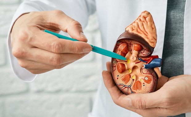 Od zakwalifikowania do maratonu. Przeszczep od podstaw