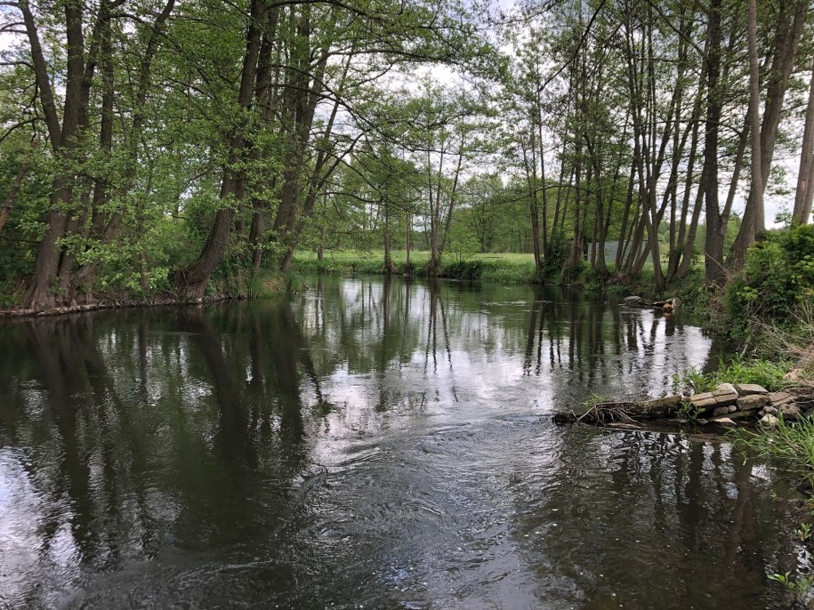Odcinek rzeki zasługuje na miano unikatowego /Mateusz Chłystun /RMF FM