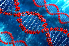 Odczytano DNA mamuta liczące ponad milion lat