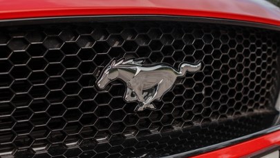 Odebrany pijanemu kierowcy Mustang trafił do policji. Będzie służył jako radiowóz