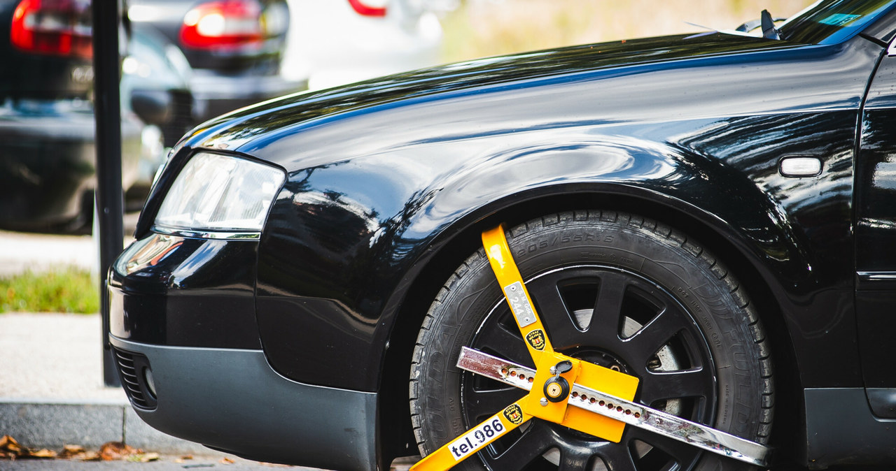 Odholować auto czy założyć blokadę mogą tylko straże miejskie/gminne i policja /Karol Makurat /Reporter