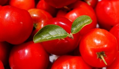 Один із найкорисніших. Досі маловідомий сік ацероли