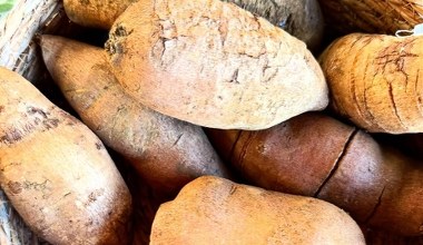 Один із найкорисніших замінників цукру. Навіть діабетики можуть підсолоджувати ним каву