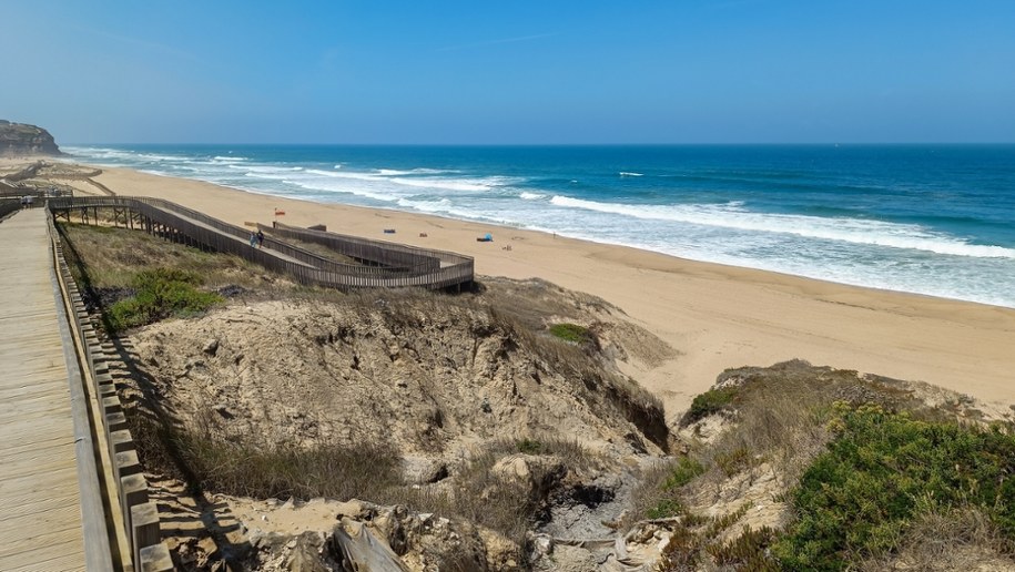 Odkrycia dokonano na plaży w gminie Torres Vedras /Shutterstock