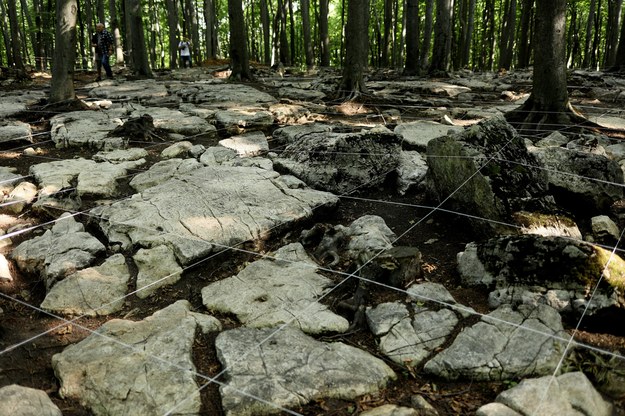 Odkrycie archeologiczne w Dąbrowie Górniczej /Tomasz Wiktor /PAP