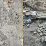 Odkrycie archeologiczne w Warszawie. Polskie godło na podłodze piwnicy