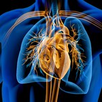 Odkrycie badaczy z Houston pozwoli na regenerację serca po zawale