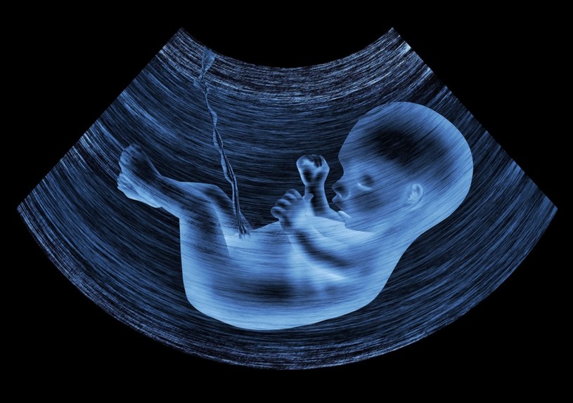 Odkrycie może zrewolucjonizować naszą wiedzę o ciąży /123RF/PICSEL
