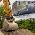 Odkrycie na Podkarpaciu. Fragmenty rakiety V-2 z czasów II wojny światowej