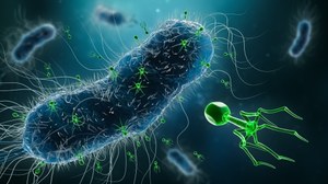 Odkrycie polskich naukowców. Zwalczanie lekoopornych bakterii będzie prostsze?