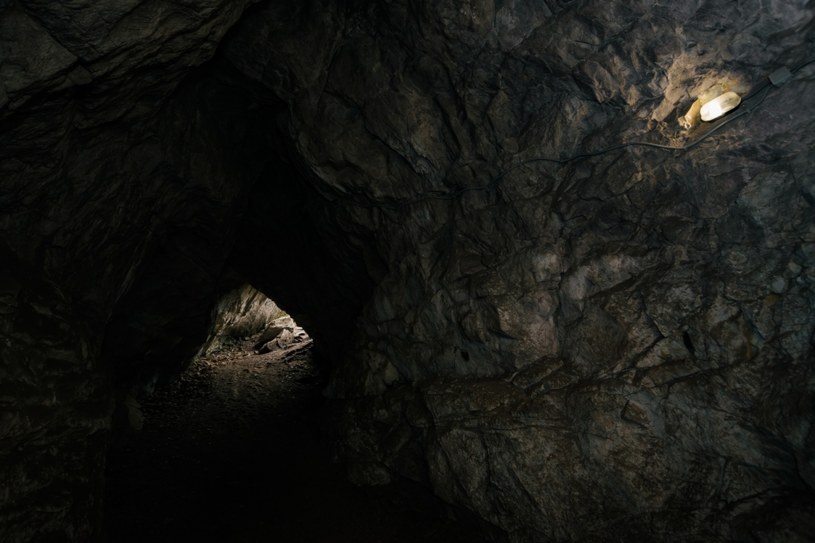 Odkrycie w jaskini wywołało konsternację naukowców /123RF/PICSEL