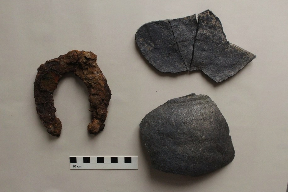 Odkrycie w Reinstedt /Landesamt für Denkmalpflege und Archäologie Sachsen-Anhalt /