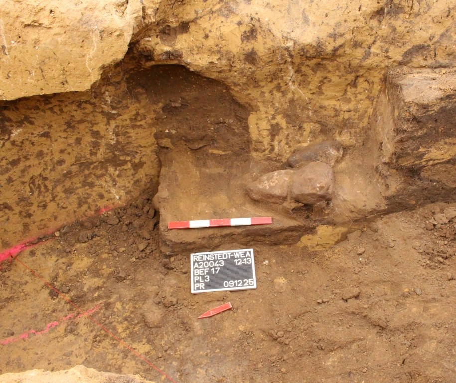 Odkrycie w Reinstedt /Landesamt für Denkmalpflege und Archäologie Sachsen-Anhalt /