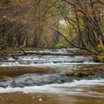 Odkryj Szumy na Tanwi. Jedno z najpiękniejszych miejsc na Roztoczu