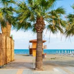 Odkryj zimowy raj! W grudniu 18°C, palmy i tanie loty prosto z Polski 