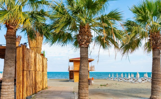 Odkryj zimowy raj! W grudniu 18°C, palmy i tanie loty prosto z Polski 