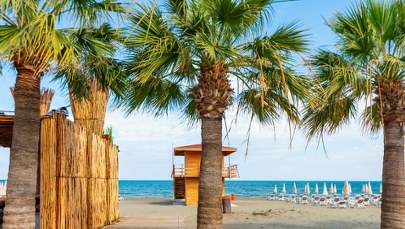 Odkryj zimowy raj! W grudniu 18°C, palmy i tanie loty prosto z Polski 