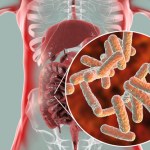 Odkryli cząsteczki wytwarzane przez mikrobiotę. Wpływają na otyłość i cukrzycę