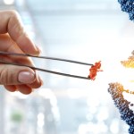 Odkryli genetyczny "przełącznik". Zmienia troskliwych ojców w agresorów