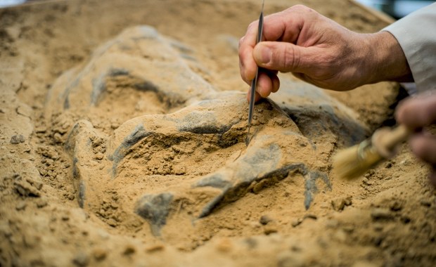 Odkryli grobowiec. Może mieć nawet 5 tysięcy lat