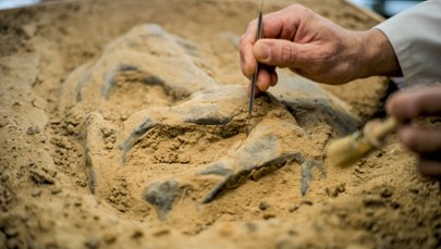 Odkryli grobowiec. Może mieć nawet 5 tysięcy lat