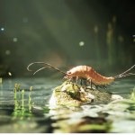 paleontologia Odkryli owada sprzed 324 mln lat. Liczba nóg aż zdumiewa