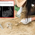 Odkryli pierwszą taką mumię dziecka. To "zmodyfikowana" ofiara rytuału Inków