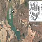 Odkryli pierwsze skamieniałości dłoni wymarłego krewnego człowieka