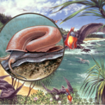 Odkryli przedziwnego prehistorycznego ślimaka. Tak kiedyś wyglądały ich muszle