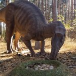 Odkryli tajemnicę dinozaurów. Dzięki temu rosły w ekspresowym tempie