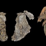 szycie Odkryli w jaskiniach coś niezwykłego. To najstarszy dowód szycia skóry